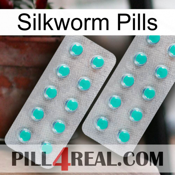 Silkworm Pills 29.jpg